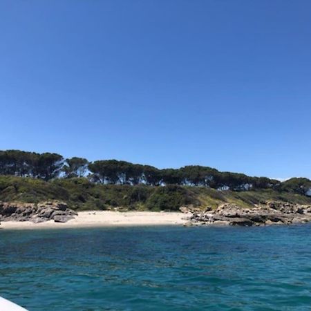 Appart. / Clim / Piscine / Mer A 300M Linguizzetta Exterior foto